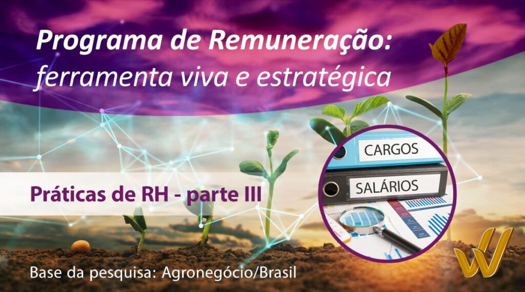 Programa de remuneração: ferramenta viva e estratégica